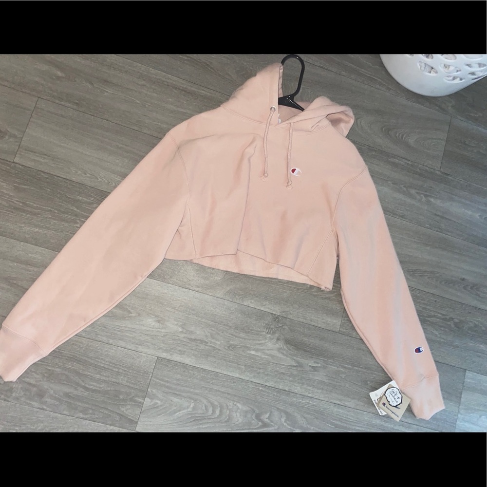 Champion Crop Sweater